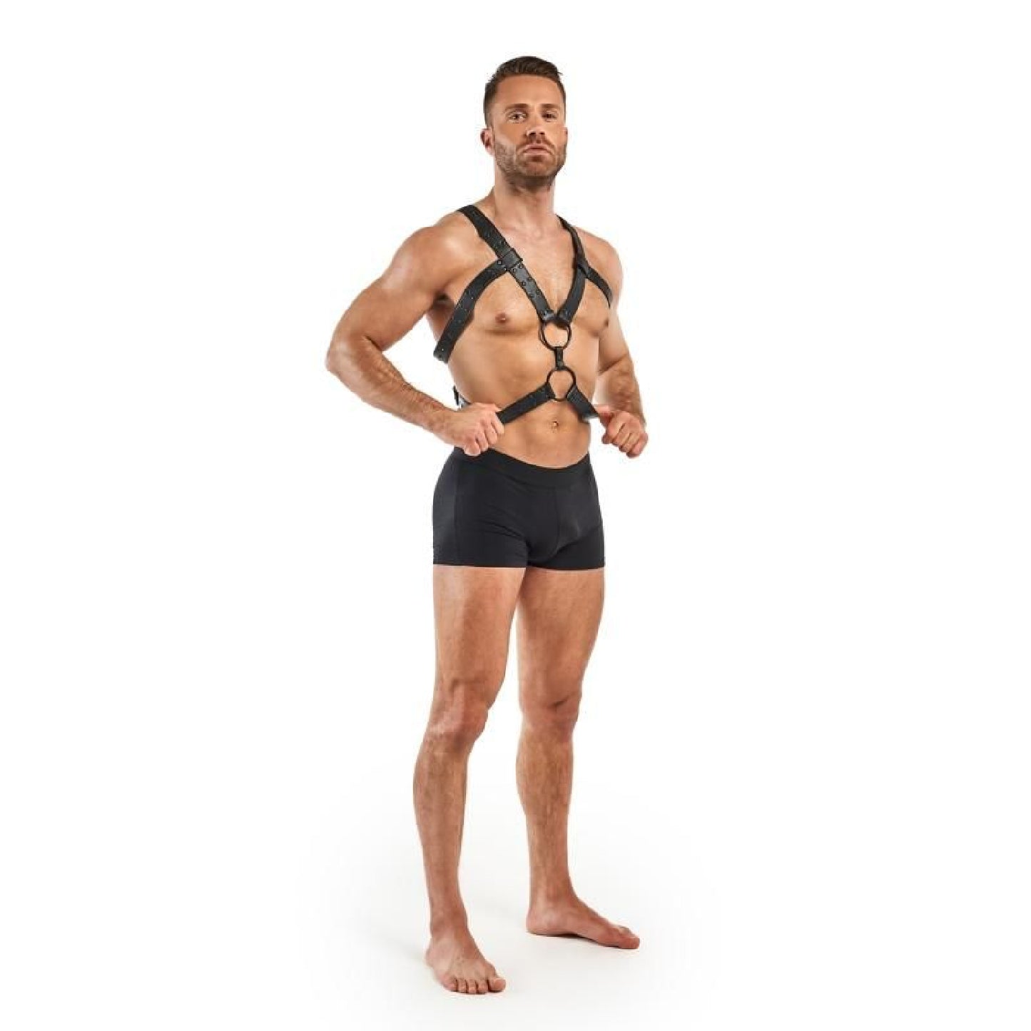 Rocco Bondage Harness Black