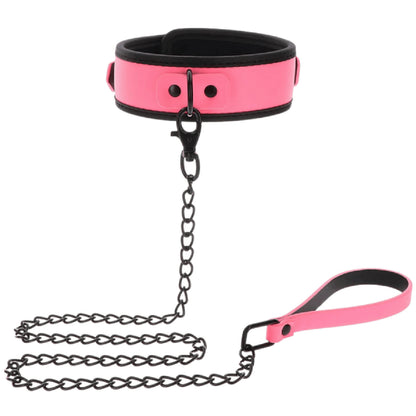 Glow Collar and Chain Leash