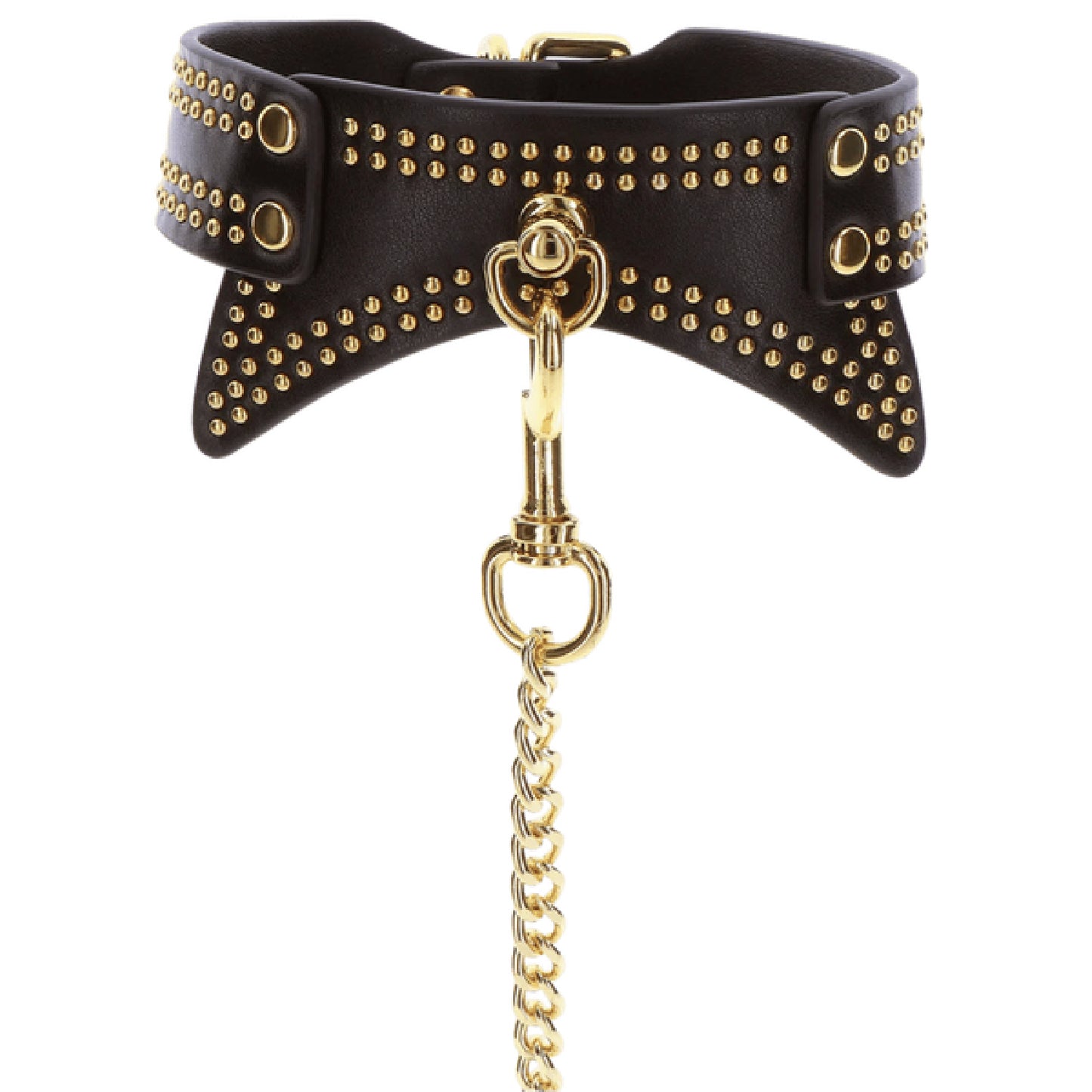 Studded Collar and Leash