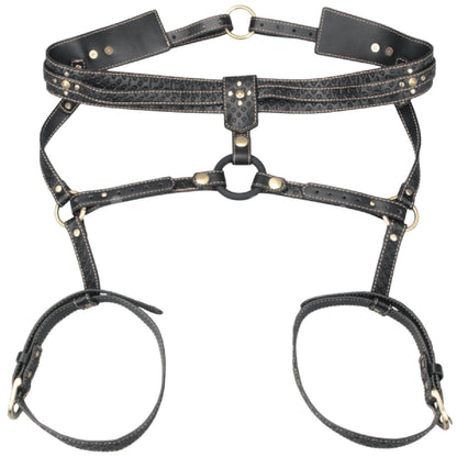 Full Body Harness